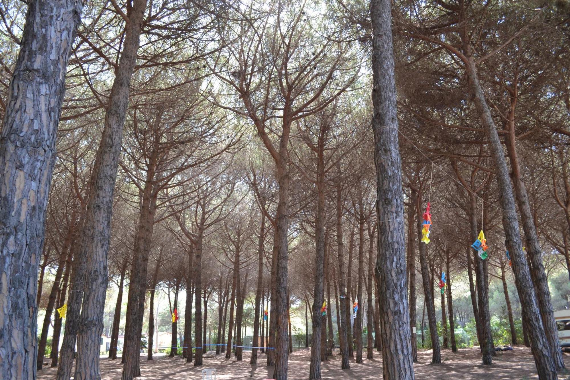 Giannella Camping Orbetello Luaran gambar